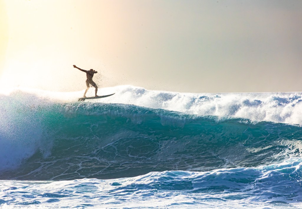 WildLife and scenery